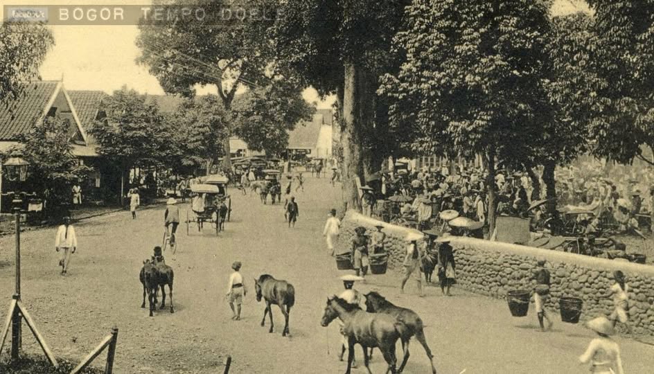 Sejarah Kota dan Kabupaten Bogor: Dari Kerajaan Kuno hingga Era Modern